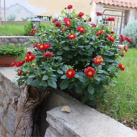 Lavanda Apartment Mali Losinj
